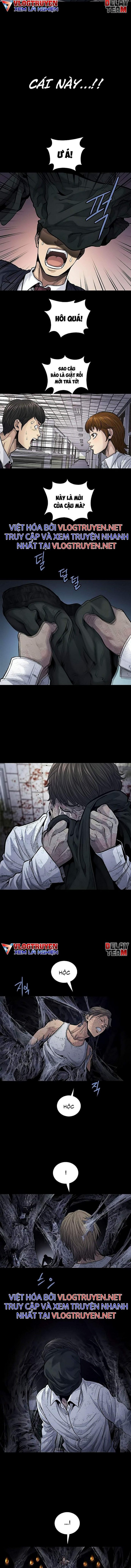 Đọc truyện Hive - Thảm họa ong độc - Chap 256